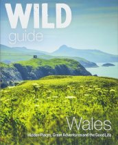 Welsh Guide Books