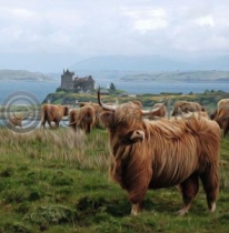 Highlanders At Duart Castle (Art)