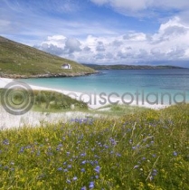 Vatersay, Outer Hebrides (Colour) (Apr)