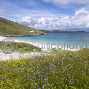 Vatersay, Outer Hebrides (Colour) (Apr)