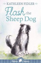 Flash the Sheepdog