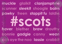 #scots Magnet (H) (Apr)