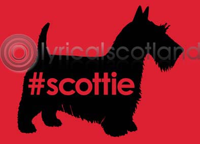 #scottie Magnet (H) (Apr)