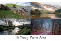 Galloway Forest Park Composite Postcard (HA6)