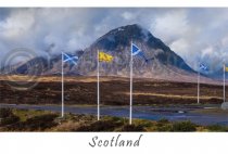 National Wallace Monument Landscape Postcard (HA6)