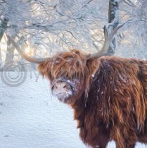 Winter Highland Cow in Snow Colour Art Greetings Card