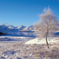 Winter Loch Arklet & Arrochar Colour Photo Greetings Card