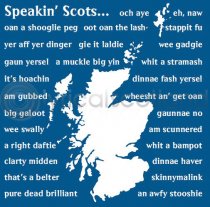 Speakin' Scots Icon Colour Art Greetings Card