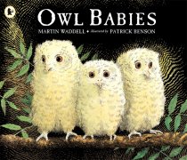 Owl Babies