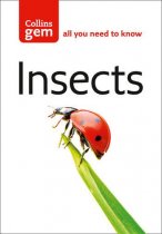 Gem Insects (Mar)