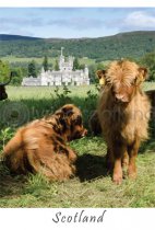 Balmoral Castle - Scotland Postcard (VA6)