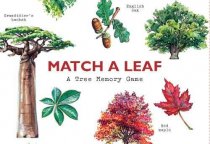 Match a Leaf Tree Memory Game (Aug)