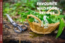 Favourite Wild Food Recipes