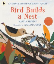 Bird Builds a Nest (Feb)