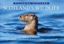 Picturing Scotland: Scotland's Wildlife