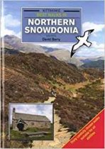 Kittiwake Best Walks In Northern Snowdonia