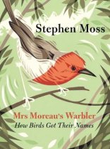 Mrs Moreau's Warbler (Apr)