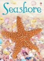 Beginners Seashore (Usborne)