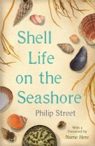 Shell Life on the Seashore (Aug)