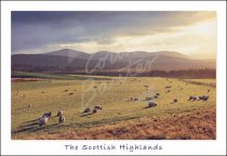 Abernethy, Cairngorms, Highlands Postcard (H Std CB)