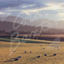 Abernethy, Cairngorms National Park Greetings Card (CB)