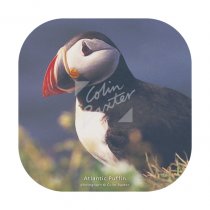 Atlantic Puffin Coaster