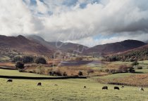 Little Langdale Tarn & Tilberthwaite Fells, Lake District Postca