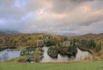 Tarn Hows & Cumbrian Mountains, Lake District Postcard (H Std CB