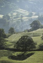 Rydal Water, Lake District Postcard (V Std CB)