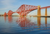 Forth Bridge Postcard (H Std CB)