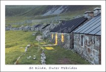 Village, St Kilda Postcard (H Std CB)