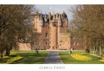 Glamis Castle Entrance with Daffodils Postcard (H CB)