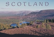 Cairngorms & Rothiemurchus, Highlands Postcard (H Std CB)