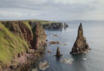 Duncansby Head & Stacks, Caithness Postcard (H Std CB)