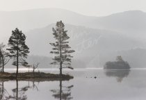 Loch an Eilein, Rothiemurchus, Cairngorms Postcard (H Std CB)