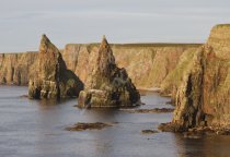 Stacks of Duncansby, Caithness Postcard (H Std CB)