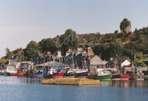 Tarbert Harbour & Castle, Argyll Postcard (H Std CB)