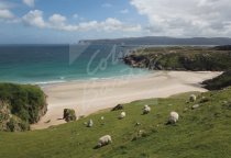 Traigh Allt Chailgeag, Sutherland Postcard (H Std CB)