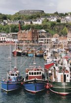 Oban Harbour & McCaig's Tower, Argyll Postcard (V Std CB)