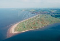 St Andrews Golf Course, Fife From Air Postcard (H Std CB)