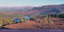 Cairngorms & Loch an Eilein Postcard (H Vis CB)