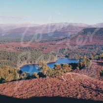 Cairngorms & Loch an Eilein, CNP Greetings Card (CB)