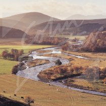 Strath Avon, Moray Greetings Card (CB)