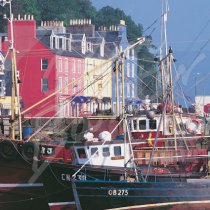 Tobermory, Isle of Mull Greetings Card (CB)