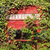 Old Telephone Box, Perthshire Greetings Card (CB)