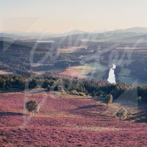 Strathspey, Cairngorms Greetings Card (CB)