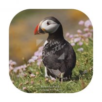 Atlantic Puffin in Seapinks Coaster