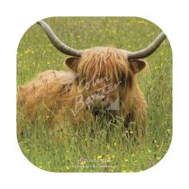 Highland Cow (Machair) Coaster