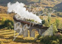 Glenfinnan Viaduct Magnet (H CB)