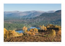 Cairngorm Mountains Print